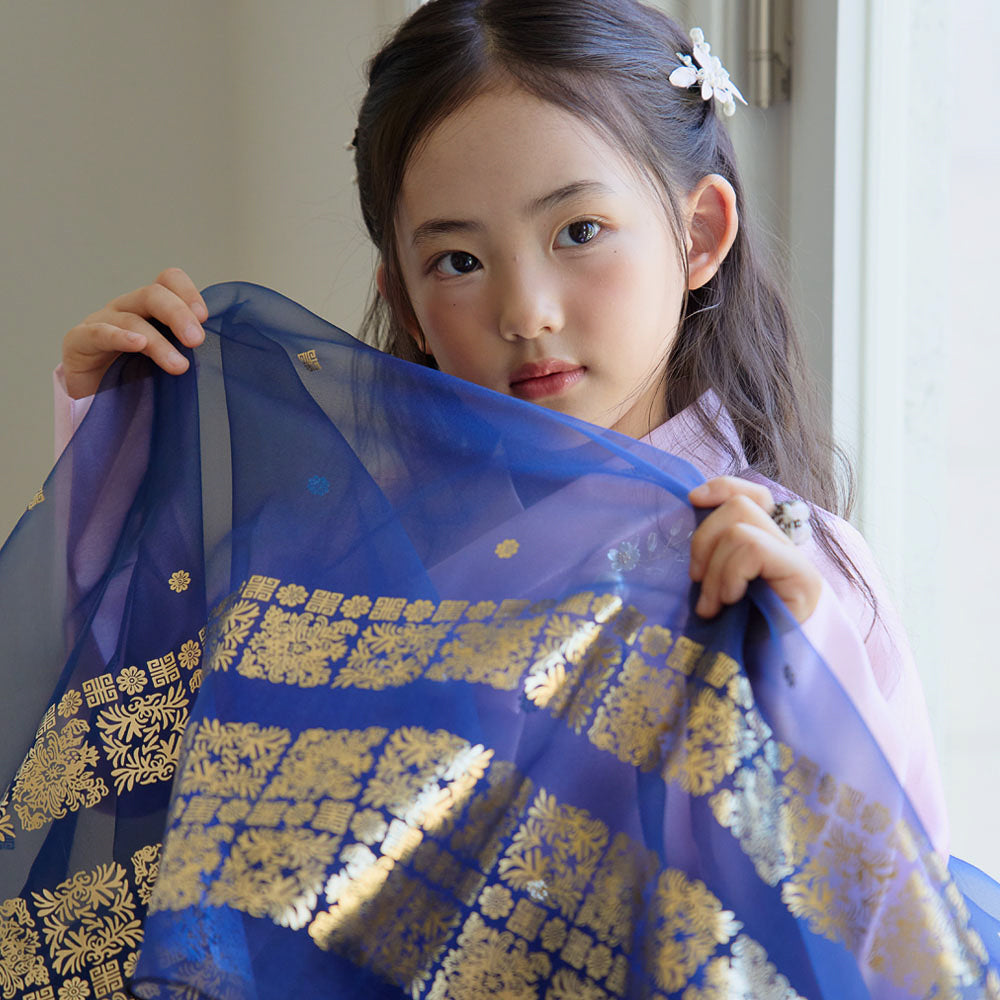 Won Pink Navy Dress Hanbok(1-8YR)
