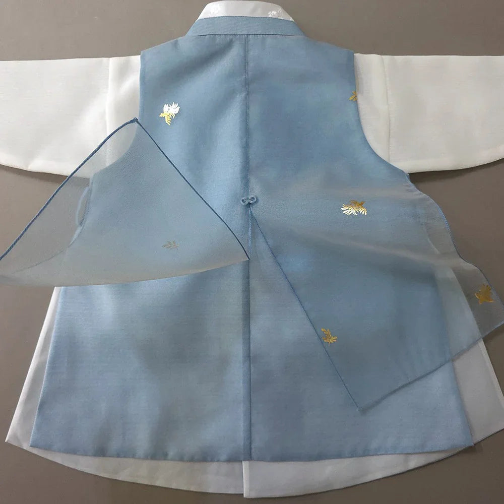 Heesung Sky Boy Hanbok by Native Korean in light blue with gold embroidery and sheer overlay.